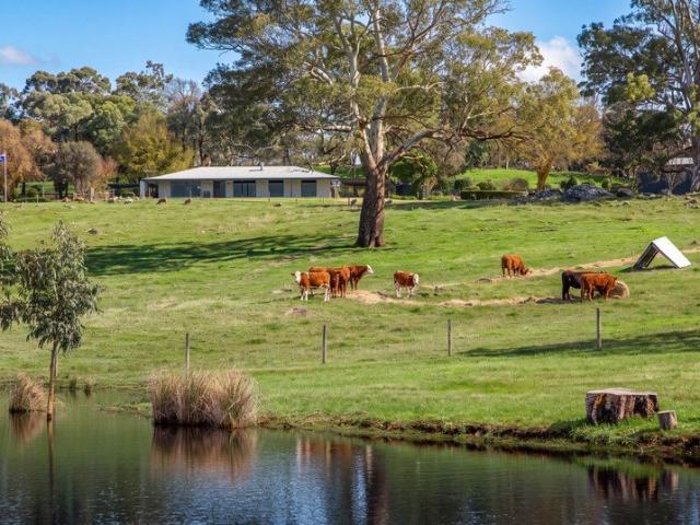 Bancroft 78 Acres of Privacy, Productivity and Breathtaking Hills Beauty