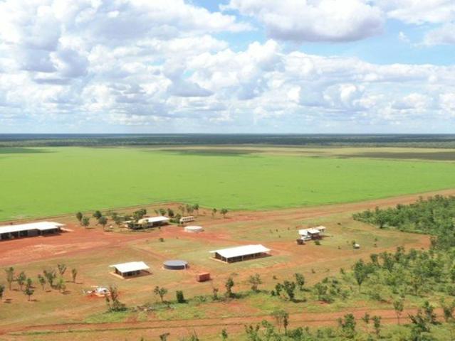 Banjo Station Sturt Plateau Grazing & Cropping WIWO