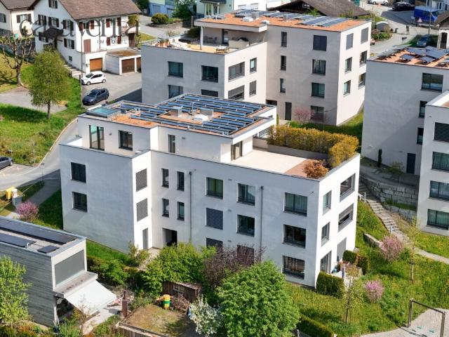 BANKENGEPRÜFT BESTÄTIGT Exklusive Attikawohnung mit traumhafter Aussicht über die Altstadt von Beromünster
