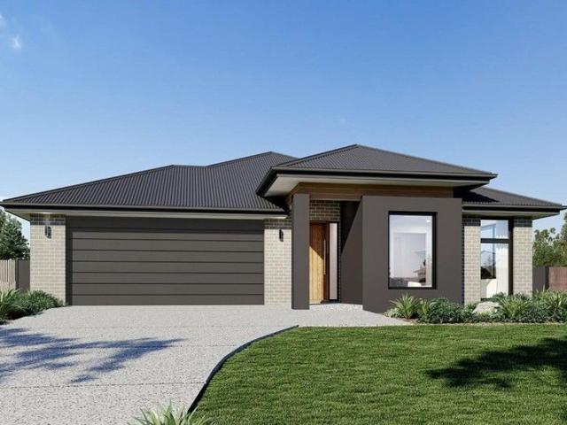 Banksia 205