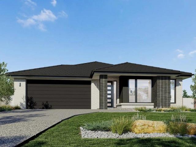 Banksia 225
