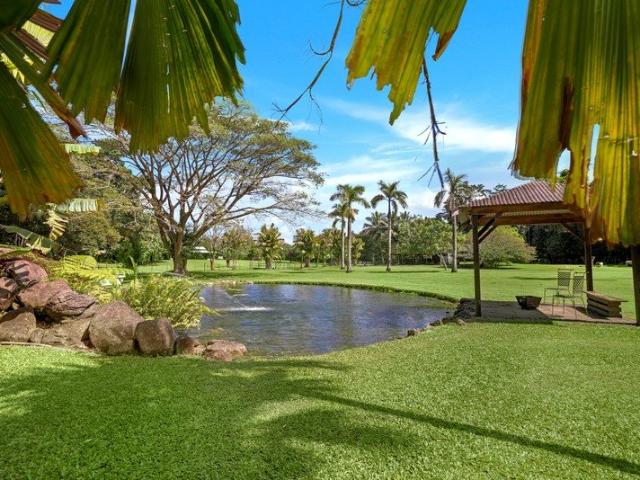 Babinda Rainforest Farm Tropical Farmstay with stunning creek!