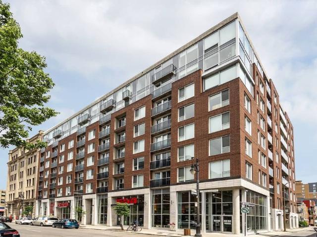 Bachelor Available At 1255 Rue De Bullion, Montreal 1255 Rue De Bullion, Montréal