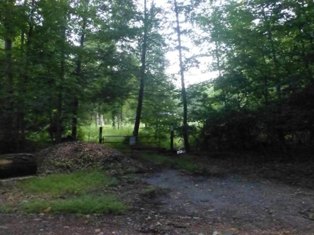 Back Rd