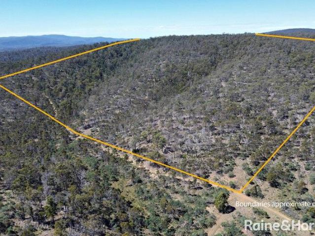 Back to Nature Native Bushland Teeming With Wildlife