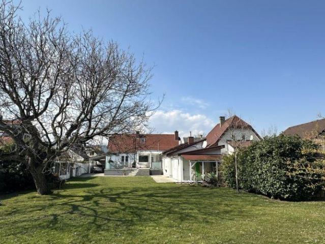 Haus Bad Fischau Bad Fischau 102251357