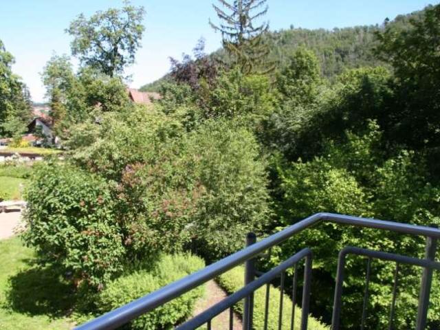 Bad Harzburg Zentrumsnähe ruhig gelegene Whg. mit Blick in die Natur