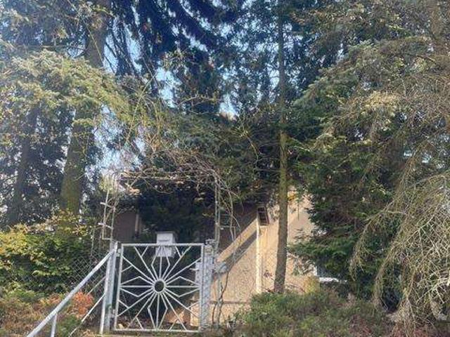 BAD SCHMIEDEBERG KORGAU * GROSSES GRUNDSTÜCK mit EINFAMILIENHAUS sanierungsbedürftiges stadtvi.