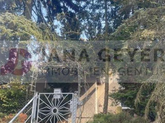 BAD SCHMIEDEBERG KORGAU * GROSSES GRUNDSTÜCK mit EINFAMILIENHAUS sanierungsbedürftiges stadtvillenähnliches Gebäude