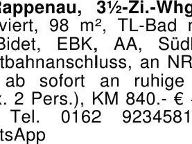 Bad Rappenau, 3 1/2 Zi. Whg neu renoviert, 98 m², TL Bad m. DU
