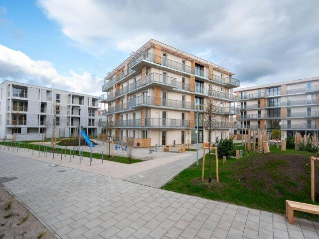 BADEN LEESDORF I/1 5, freifinanzierte Mietwohnung mit Kaufoption, BF3_H6_JH22_Top 3, 1000/00007411/00001067