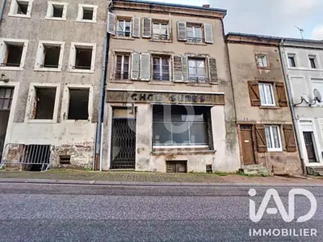 Badonviller 54540 Achat / Vente maison 9 pièces t9 cave