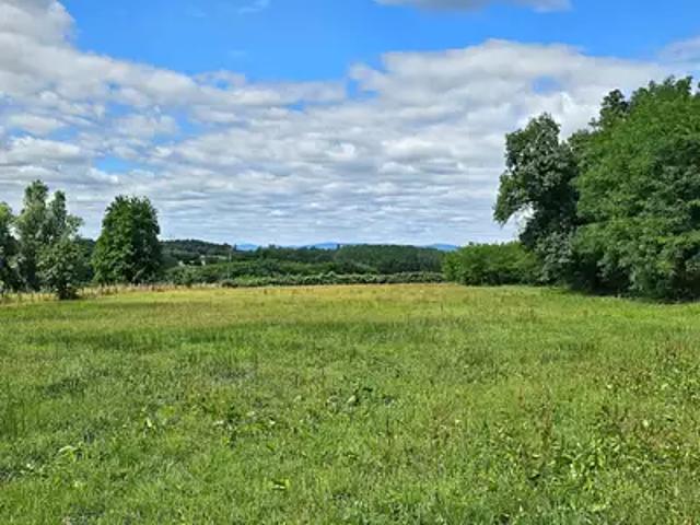Bâgé le Châtel 01380 Programme neuf maison neuf à vendre 5 pièces