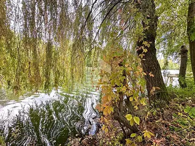 Bagneaux sur Loing 77167 Achat / Vente maison 3 pièces t3