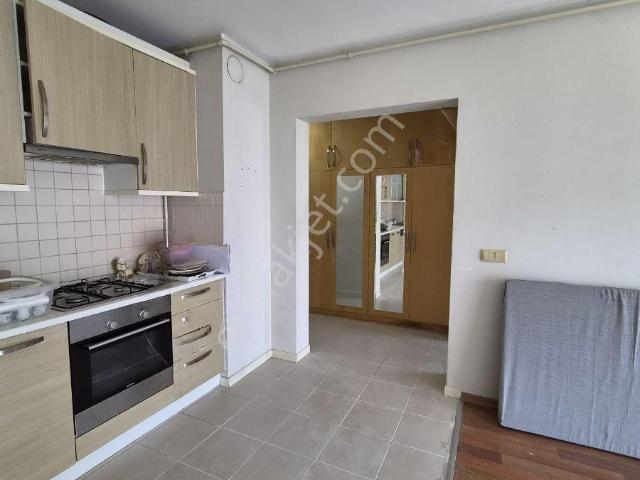 Bahçeşehir Manolya Evleri Sitesi 1+1 Büyük Tip Kiralık