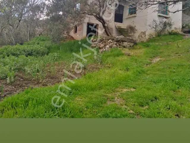 Bahçeli Müstakil Köy Evi