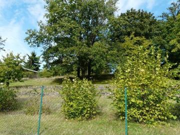 Bahren Loreley Großes Grundstück mit 2 Stück WE Häuser B Plan ist in arbeit noch nicht fertig rechtskräftig