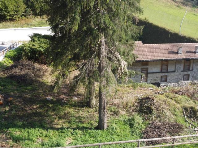 Baita in vendita a Pinzolo