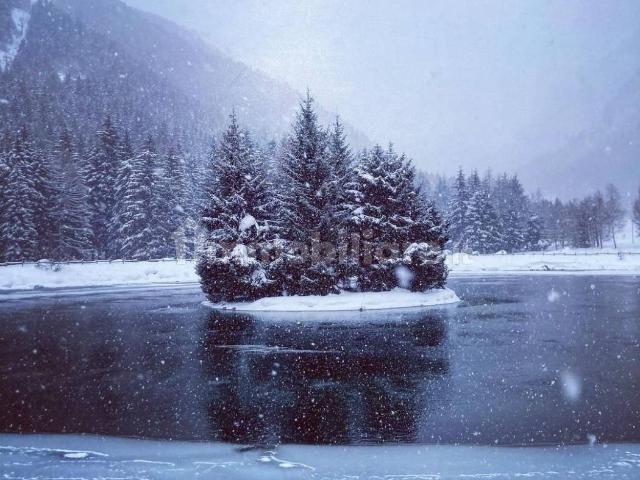Baita Località Valbione, Ponte di Legno