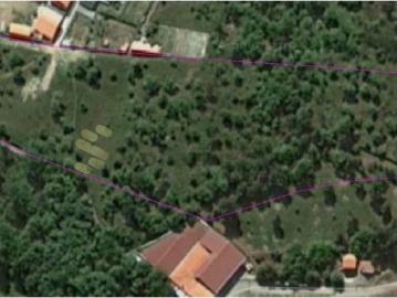 Baião Baião 103084204