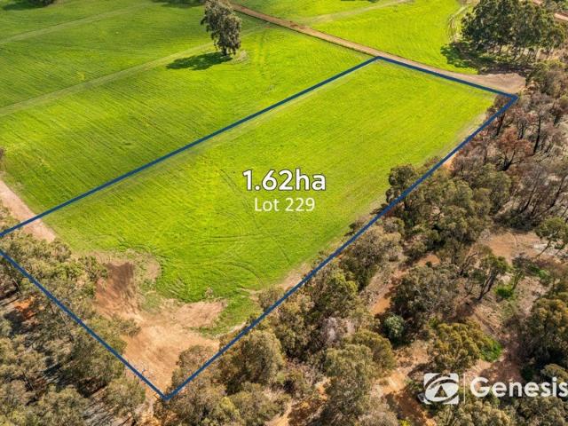 BAILUP FIELDS, WOOROLOO