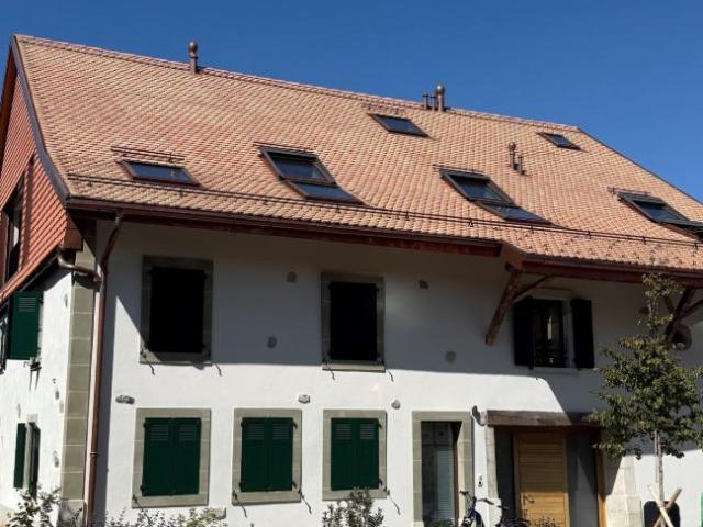 BAISSE DE PRIX: magnifique logement de 5.5 pièces dans une ferme rénovée