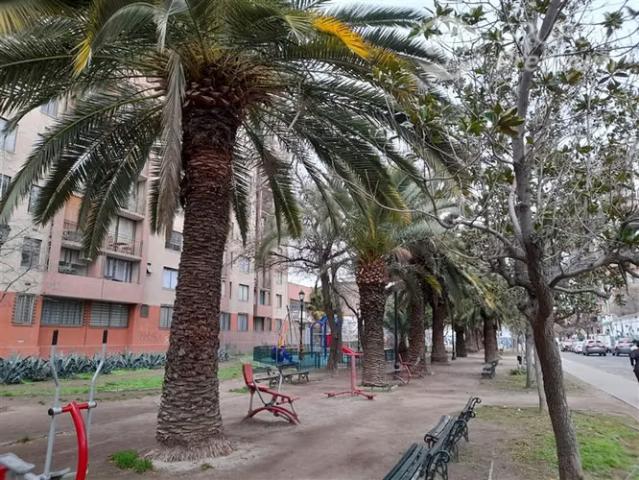 Bajó de precio! Oportunidad en barrio brasil | 1 dormitorios por 1390.00 en Santiago