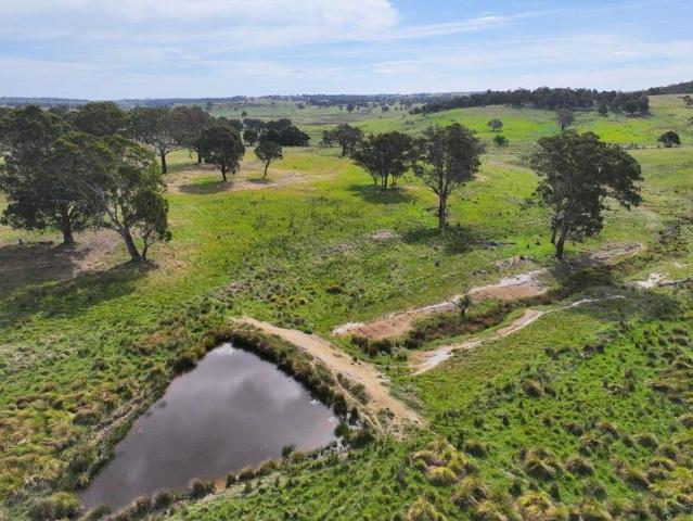 Bald Hill