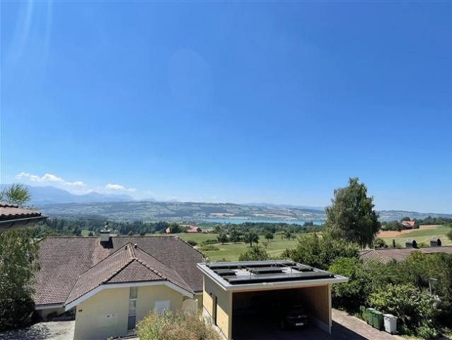 Balkon mit Sempacherseeblick, frisch renoviert und eigener Waschturm