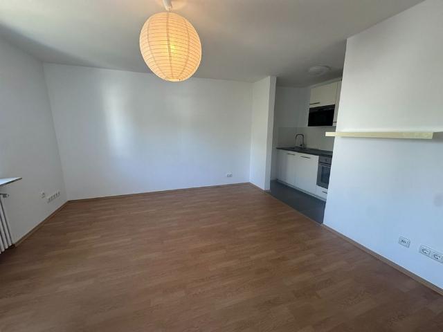 Balkonblick in ruhiger Wohnstraße – 1 Zimmer Wohnung zur Miete in München, Perlacher Straße