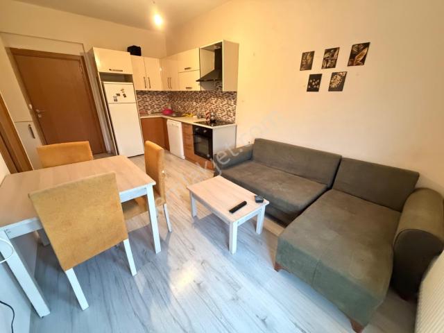 Balkonlu eşyalı abonelikler Açık 1+1 Kiralık Arakat Daire