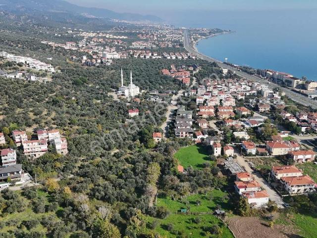 Balnovadan Edremit Altınoluk Narlı Da Satılık Villa