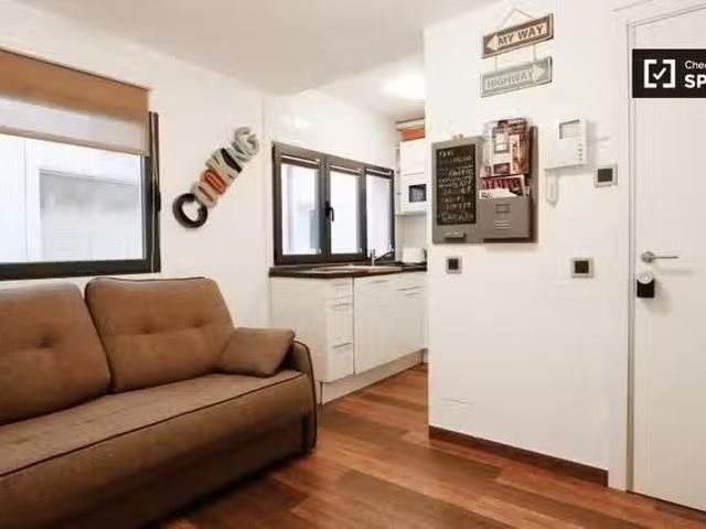 Único Apartamento de 1 dormitorio en alquiler en Centro, Madrid
