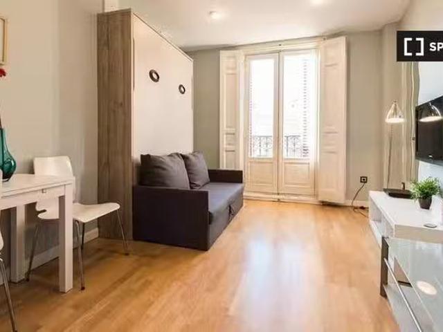 ¡En alquiler! Estudio en alquiler en Embajadores, Madrid