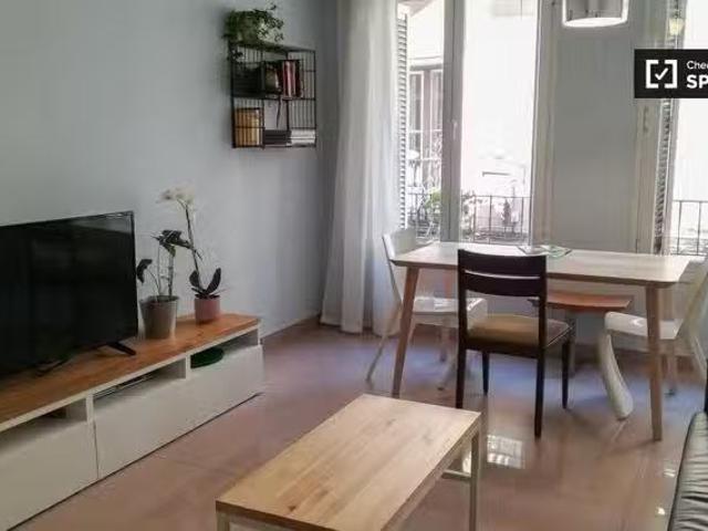 Acogedor Moderno apartamento de 1 dormitorio en alquiler, Cent.