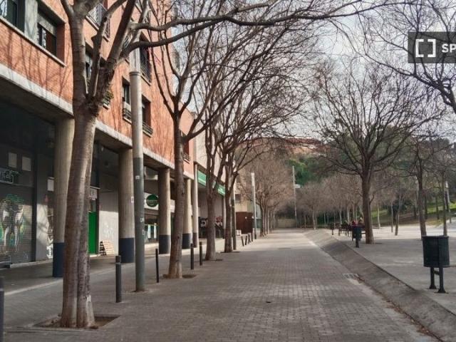 barcelona, Catalonia 08004