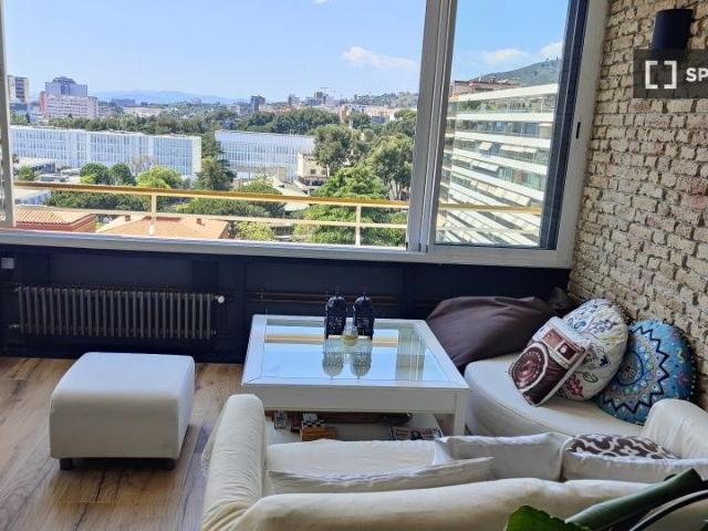 barcelona, Catalonia 08034