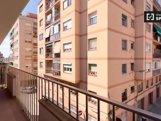 barcelona, Catalonia 08913
