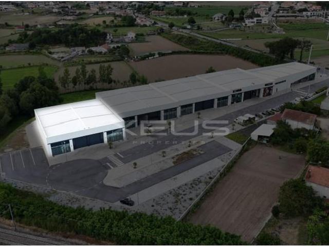 Barcelos Barcelos 103385386