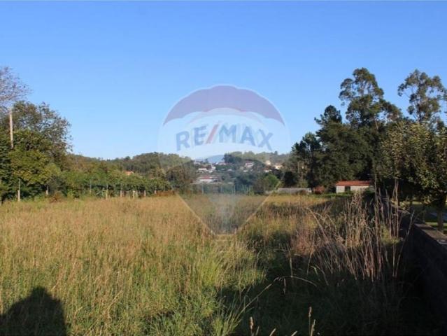 Barcelos Barcelos 105553576