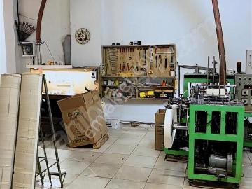 Buca, İzmir ili, Ege Bölgesi