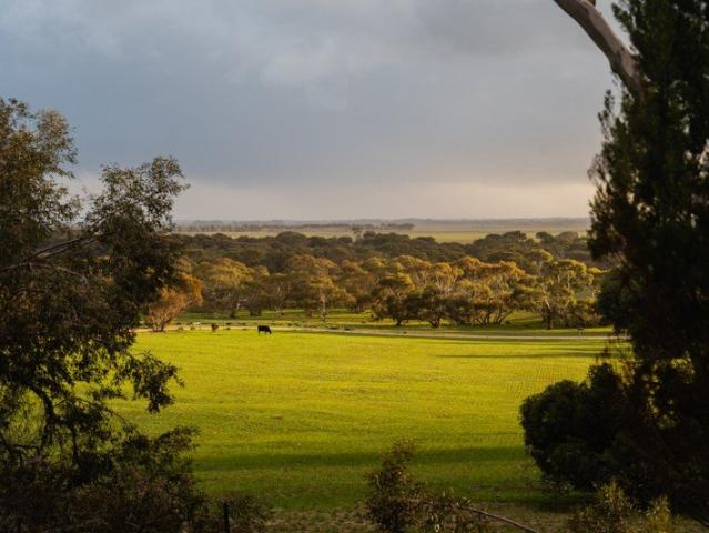 Barn Hill Ready to Run Grazing Property with Expansion Potential