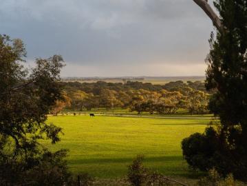 Yumali, The Coorong, South Australia