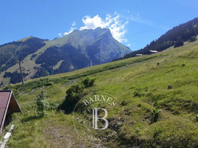 BARNES ARAVIS LA CLUSAZ CHALET D'ALPAGE A RENOVER ENVIRONNEMENT UNIQUE