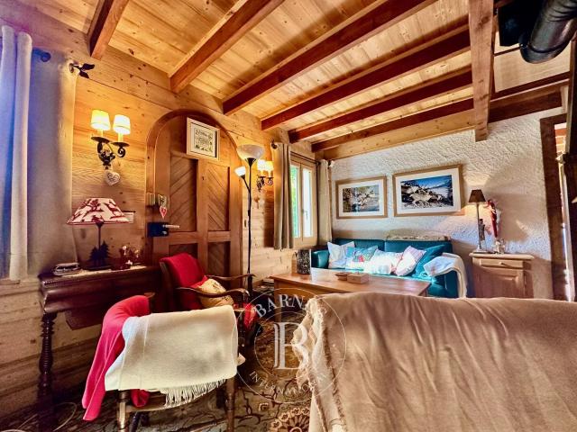 BARNES MONT BLANC Les CARROZ D'ARACHES CHALET CENTRE VILLAGE