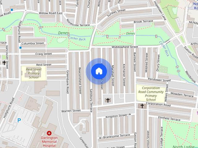 Barningham Street, Darlington, DL3