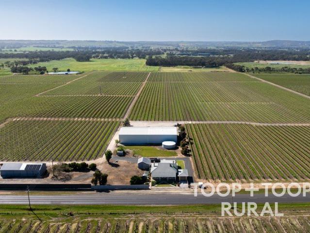 Barossa Heritage Vineyard