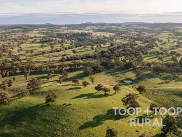 Barossa Lifestyle & Grazing Estate