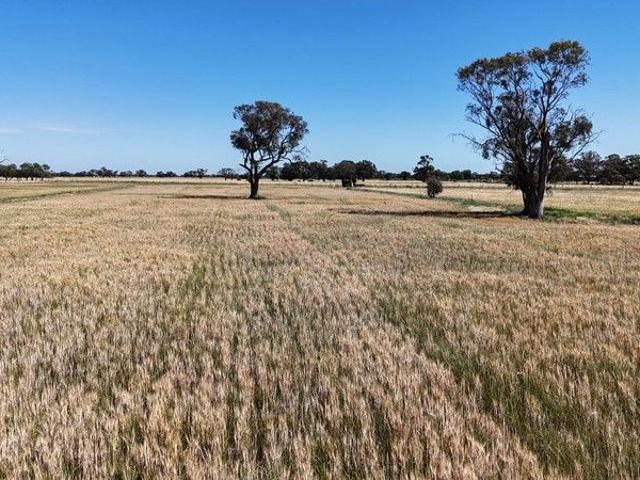 Barrbend Prime Cropping & Grazing Property