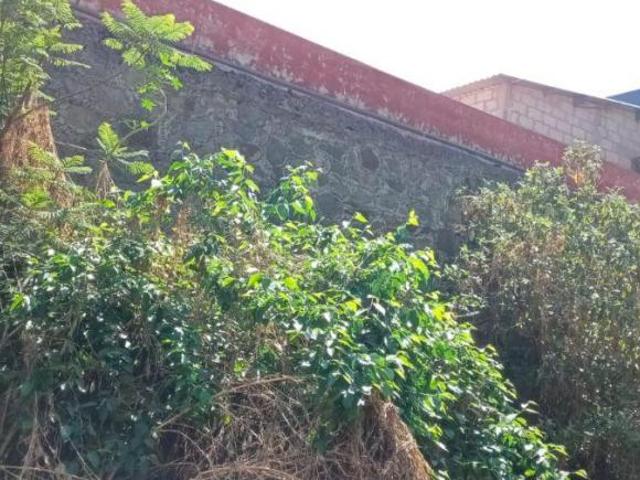 Barrio de Analco 1936 m2